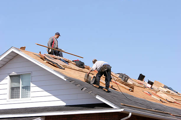 Best Roof Ventilation Installation  in Lake Heritage, PA
